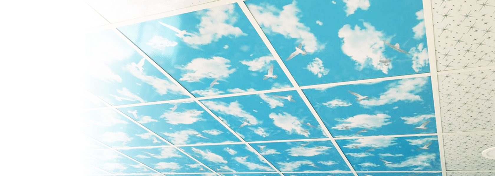 Deckon PVC Panel Sistemleri