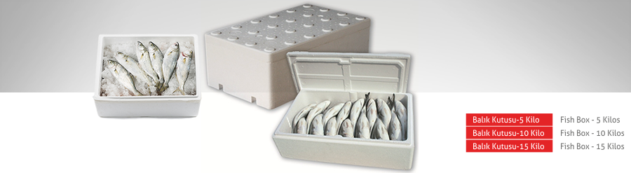 Balık kutusu