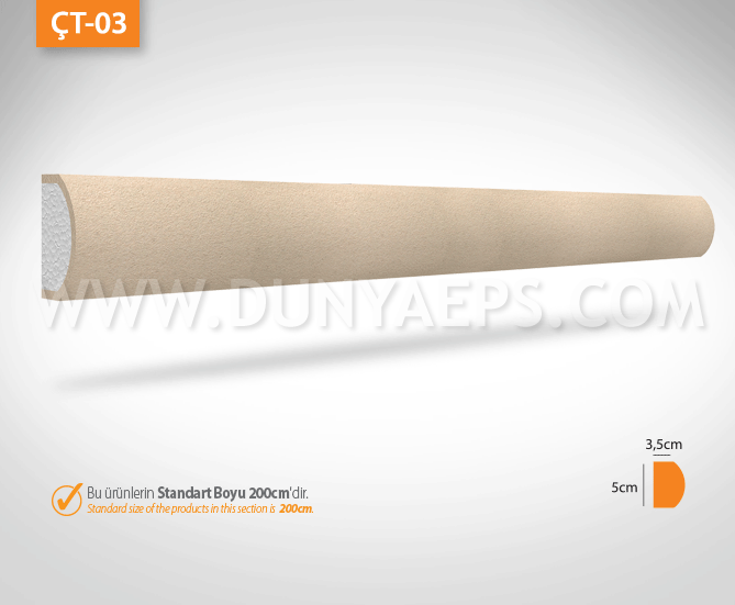 ÇT-03