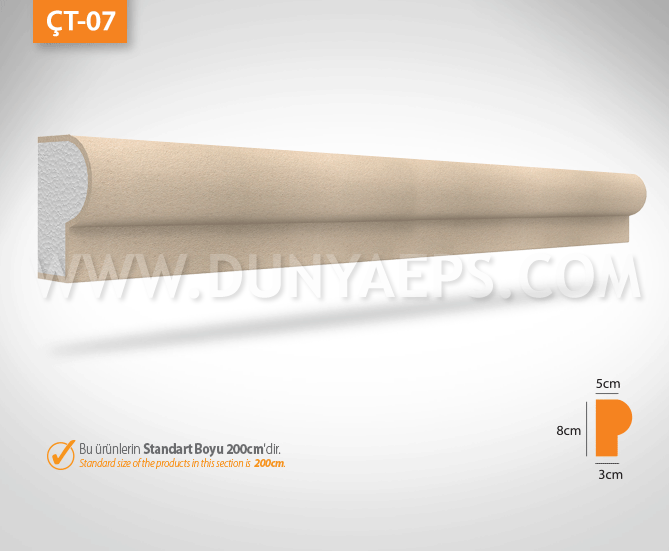 ÇT-07
