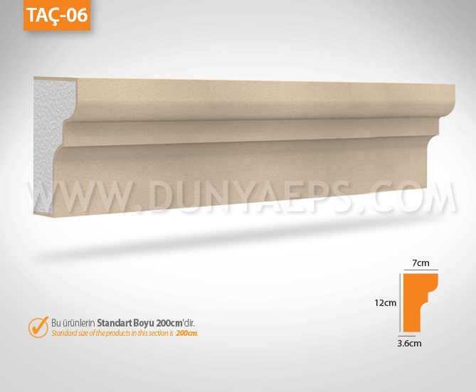 TAÇ-06